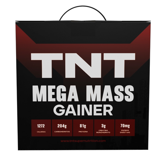 MEGA MASS GAINER 10LB